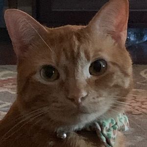 Meet your Posher, Richie